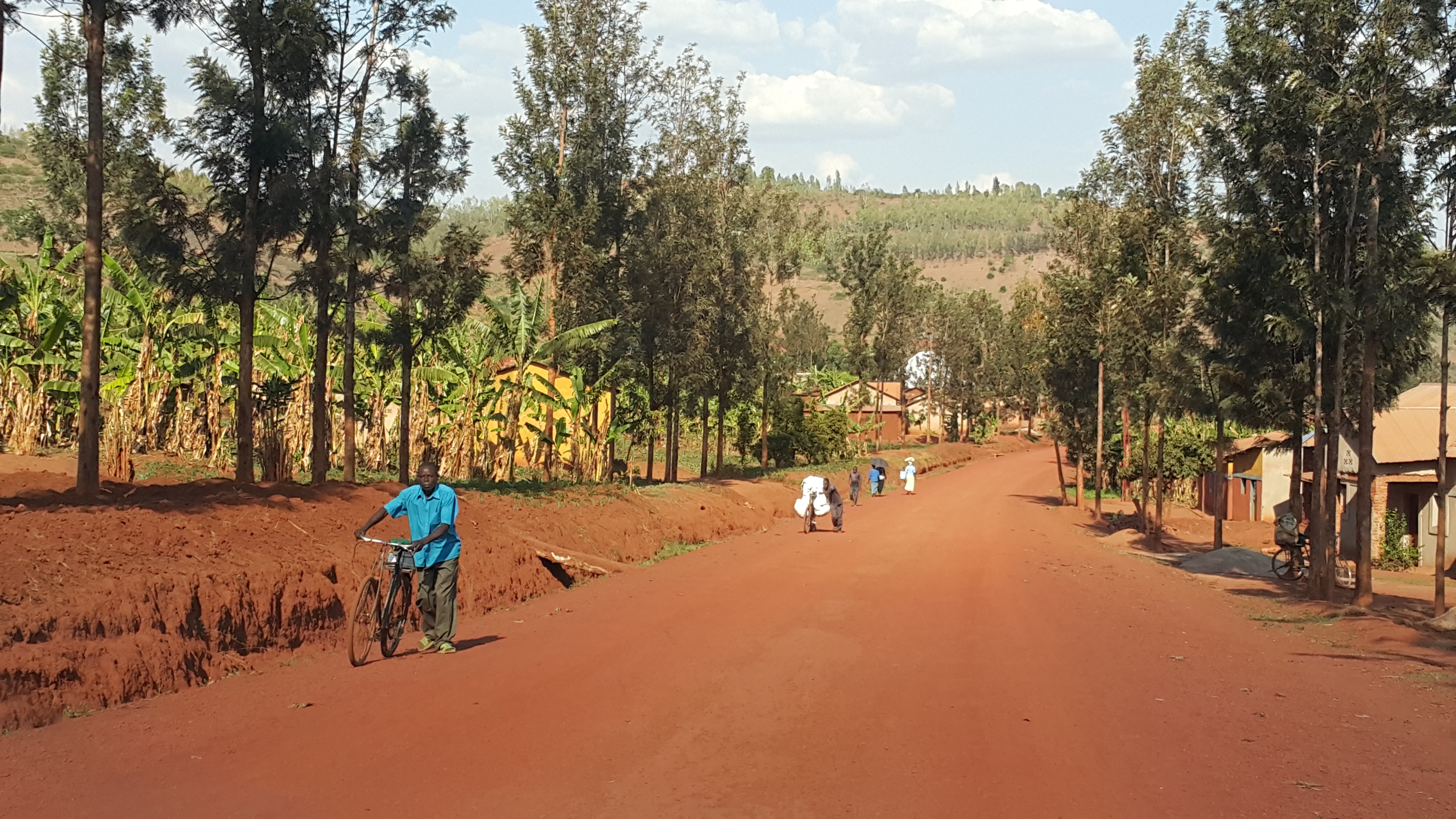 on-the-road-to-akagera