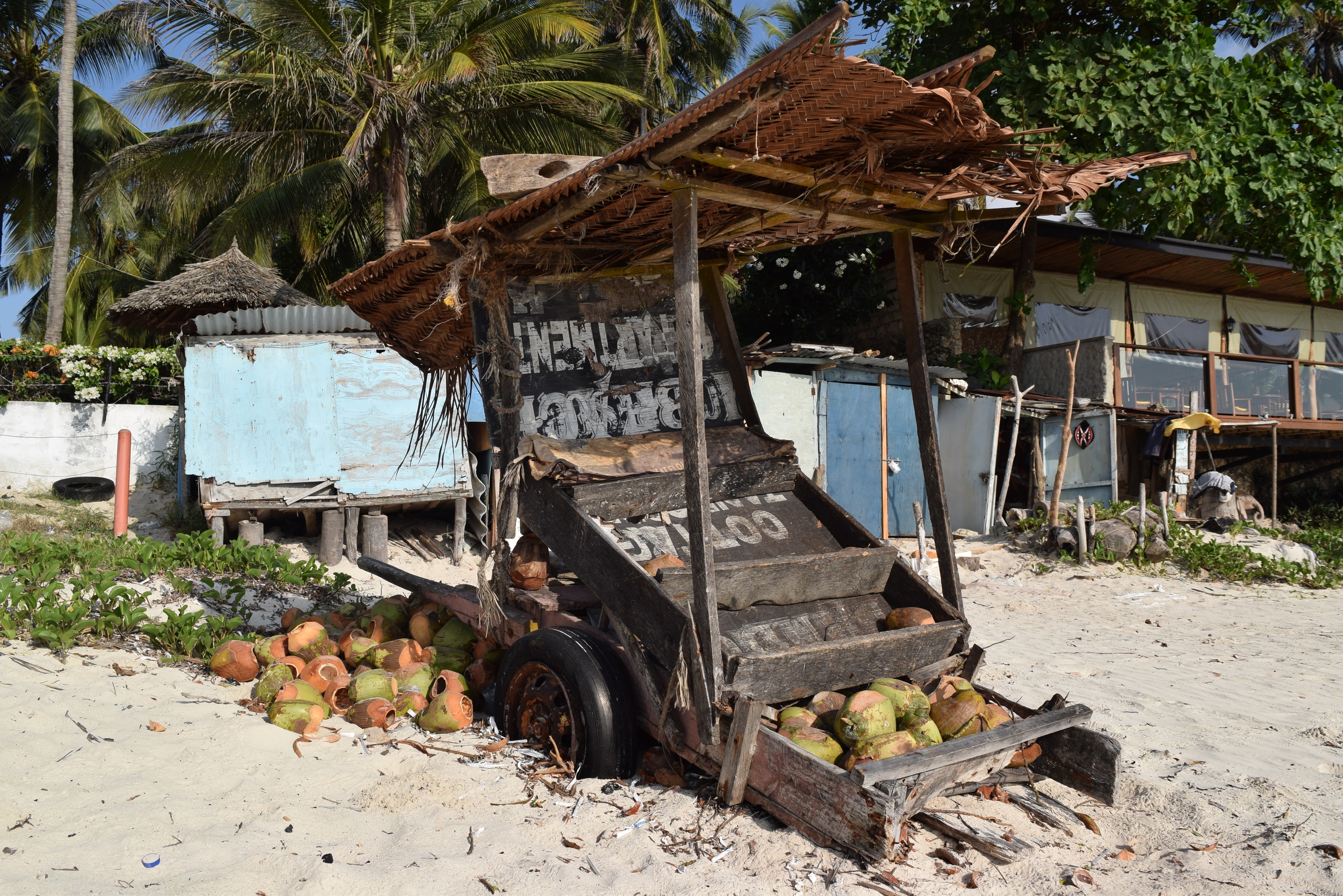 coconut-stand