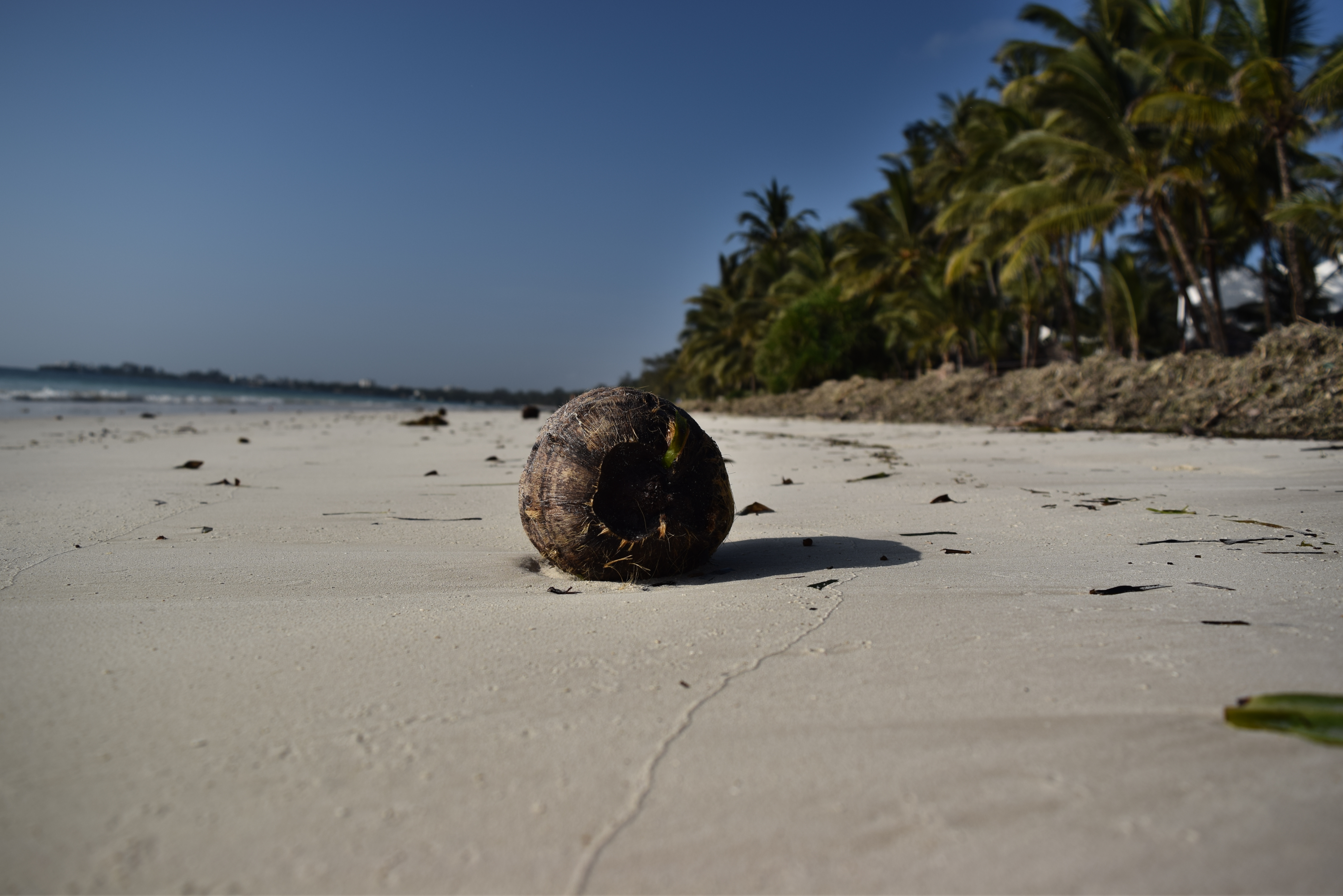 coconut-water