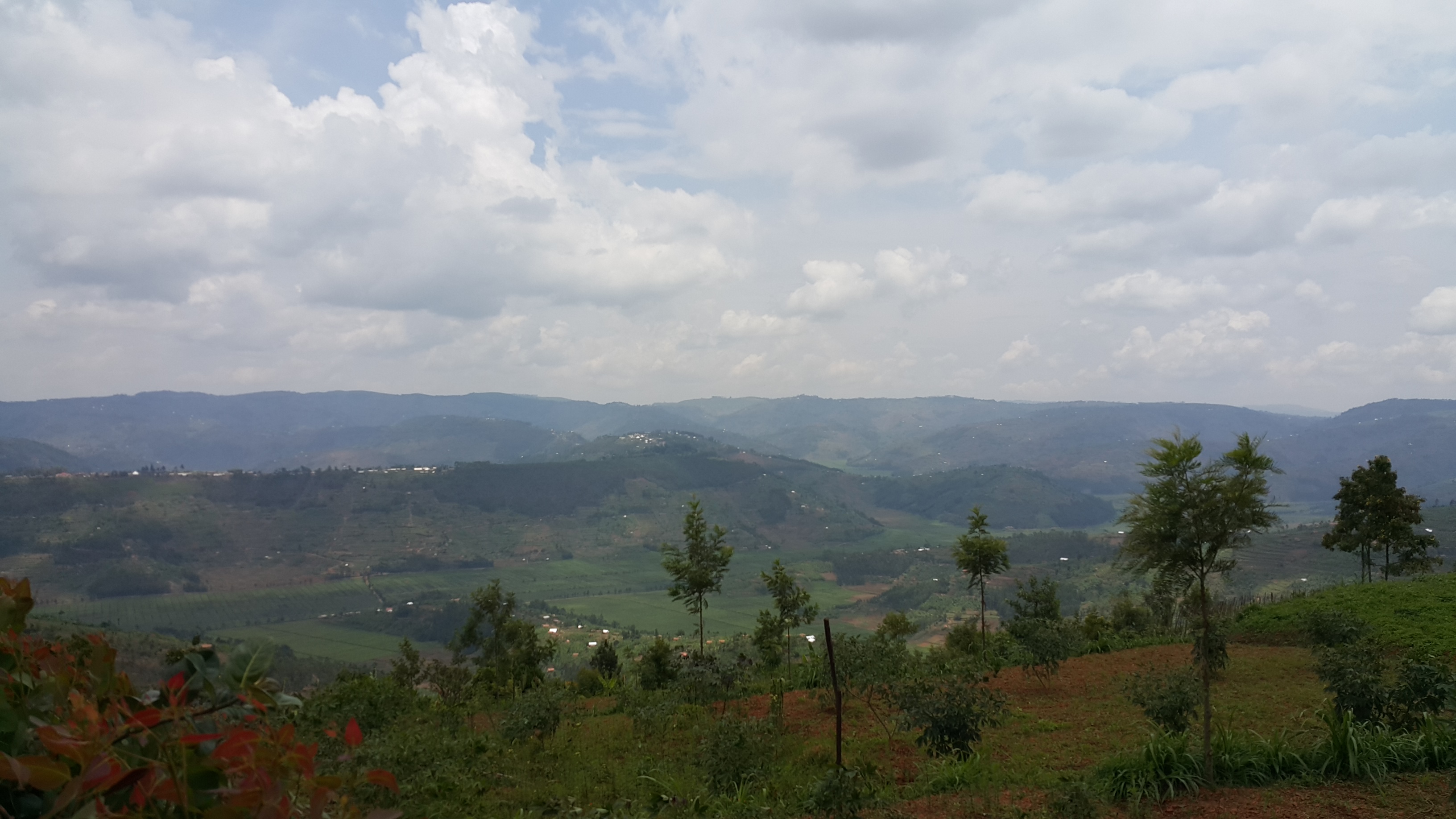 Fantastic views over the tea meadows